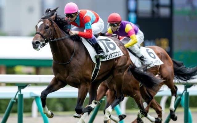 【次走】ガンランナー産駒グランアプロウソは雪うさぎ賞で復帰予定 祖母は短距離女王ビリーヴ