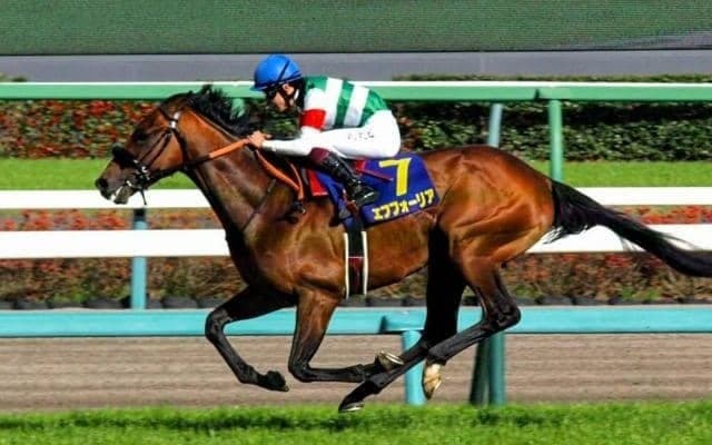 【大阪杯前日オッズ】エフフォーリアが1.6倍で断然の人気