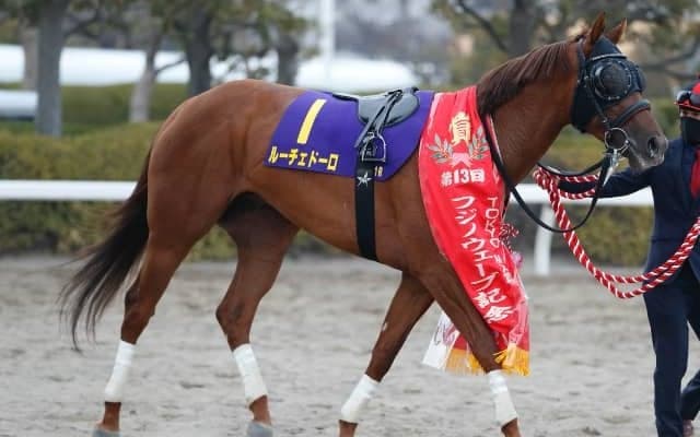 【東京スプリント】イグナイター、ルーチェドーロなど地方所属選定馬11頭が発表