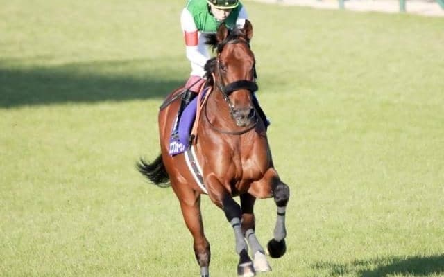 【大阪杯】「3番人気馬」と「関東馬」は不調の一戦？ 一方、絶好の狙いは「馬番は5-8番」に？