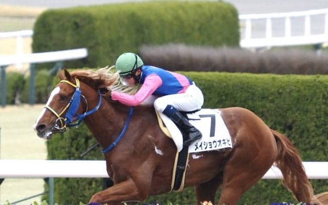 【阪神6R】ルーキー角田大河が5勝目！メイショウオキビで抜け出す