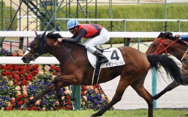 【阪神5R】オルフェーヴル産駒 メモリーレゾンが2勝目