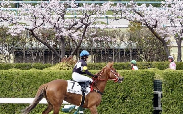 古川奈 豪快な差し切りで4勝目 女性騎手騎乗結果