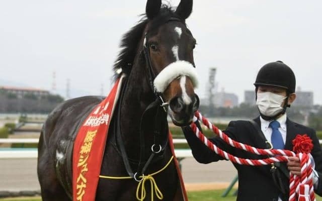 クラシック第一弾・桜花賞、GI前哨戦の阪神牝馬S＆ニュージーランドT/今週の競馬界の見どころ