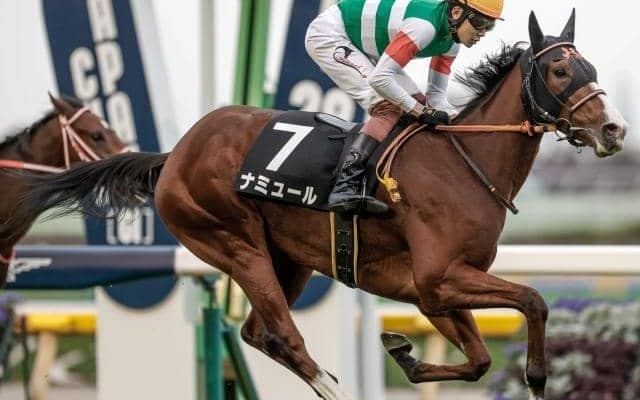【桜花賞見どころ】ナミュールが連勝で桜の女王戴冠を狙う