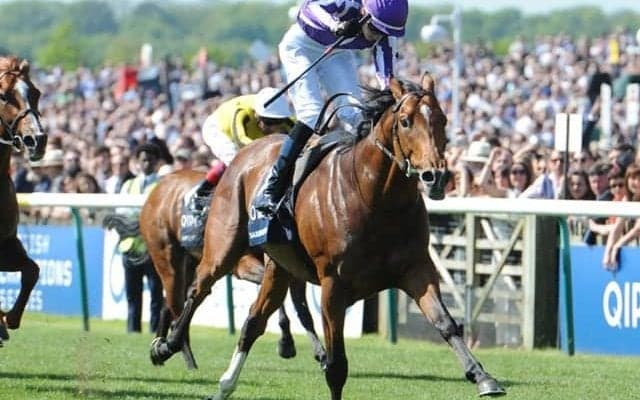 【海外競馬】日本産馬サクソンウォリアーの産駒がフランスで初出走初勝利 