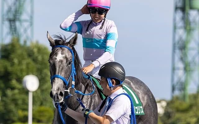 【先週のJRA抹消馬】重賞制した3歳牝馬ナムラリコリス、ダートの古豪ケイティブレイブなど