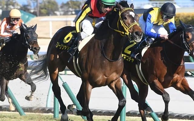【AI予想・桜花賞】重賞初挑戦に「◎」!? 妙味たっぷりの「本命候補」は…