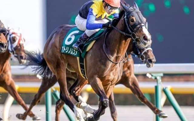 【阪神牝馬S展望】ヴィクトリアマイル前哨戦、あの馬の巻き返しを期待