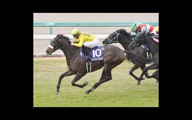 安藤勝己が徹底検証。桜花賞、オークスの行方がわかる「３歳牝馬番付」