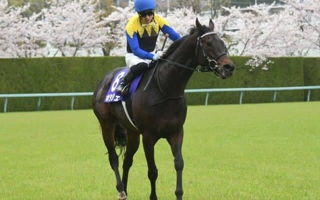 【大阪杯】金子馬活躍の裏にデピュティミニスターあり!?  母が米古牝馬チャンピオンの良血が遅咲きの勝利