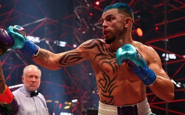 愛猫が“腹筋”していて仰天　目撃した海外ボクシング選手が衝撃記す「私の猫が…」