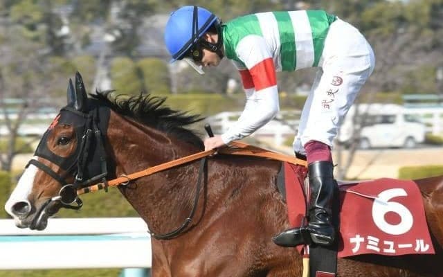 【桜花賞予想オッズ】チューリップ賞Vのナミュールが予想1番人気