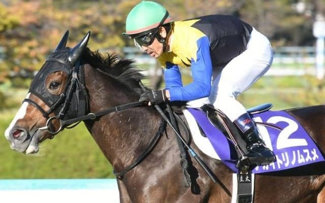 【阪神牝馬S予想オッズ】秋華賞馬アカイトリノムスメが予想1番人気