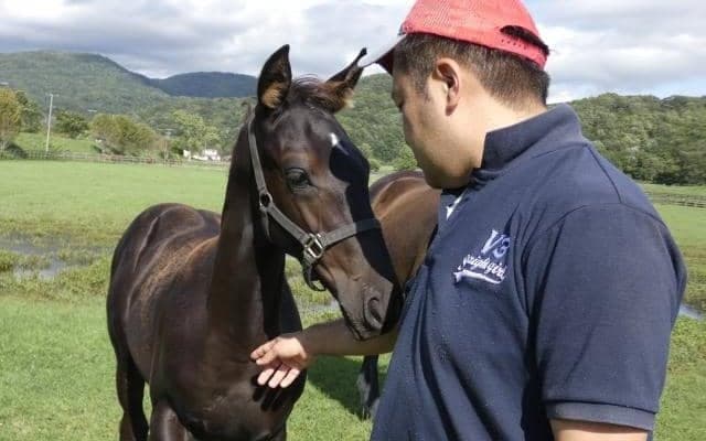 ウォーターナビレラの物語　オーナーから牧場、武兄弟に繋がるアナザーストーリー