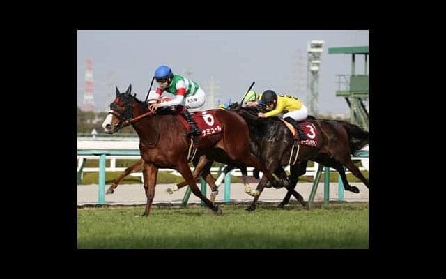 桜花賞の行方を占う「３歳牝馬ランキング」。上位５頭の実力を分析