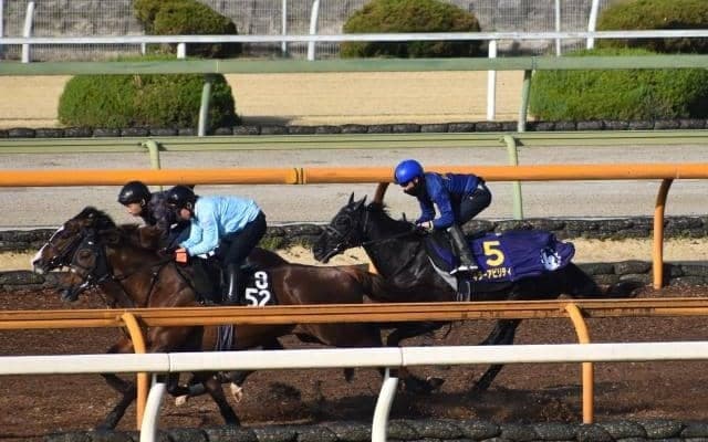 キラーアビリティ、皐月賞1週前追い切り速報/栗東トレセンニュース