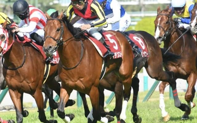 【マイラーズC想定】前年覇者ケイデンスコール、一昨年2歳王者ダノンザキッドなど15頭