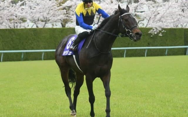 【次走】大阪杯覇者ポタジェは宝塚記念を視野に 友道師「いつも一生懸命走ってくれる」