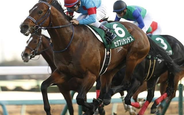 【JRA】重賞2勝馬セダブリランテスが引退、ノーザンホースパークで乗馬に