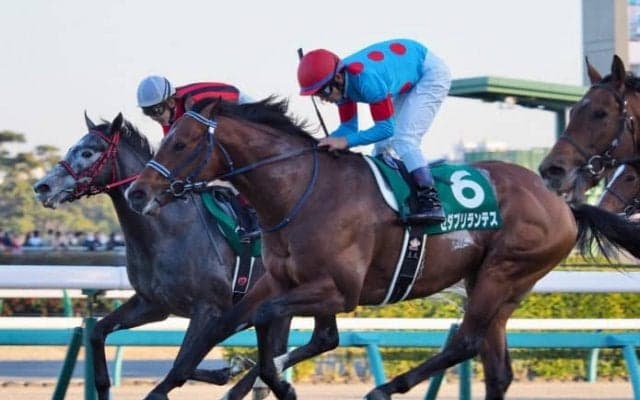 セダブリランテスが競走馬登録抹消