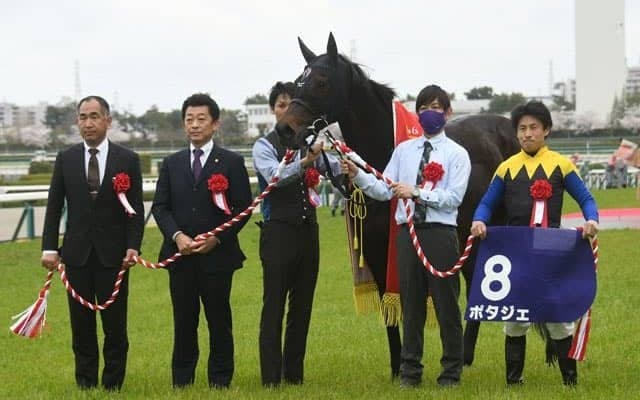 敗因と勝因/島田明宏