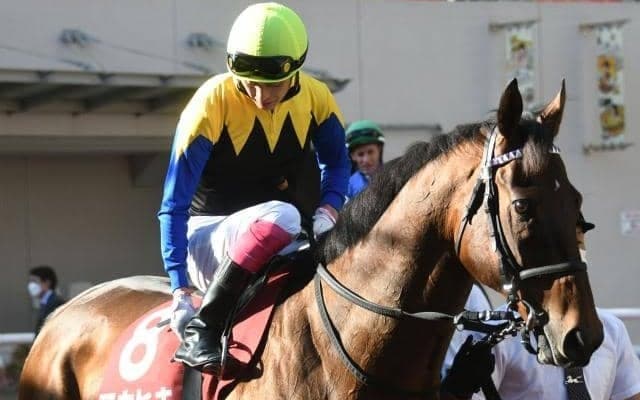 【次走】9歳のダービー馬マカヒキは宝塚記念か札幌記念へ