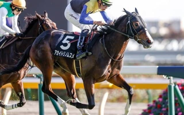 【阪神牝馬S出走馬・騎手確定】アカイトリノムスメ＆戸崎圭太騎手、アンドヴァラナウト＆福永祐一騎手など12頭