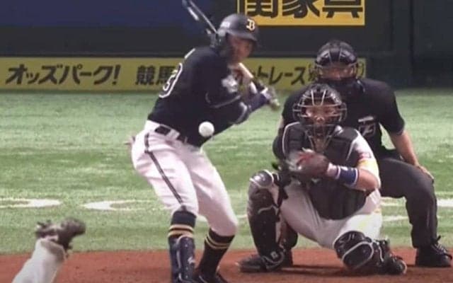 懐えぐる“激ムズボール”を変態ダメ押し　オリ21歳は「隠れた身体能力の化け物」