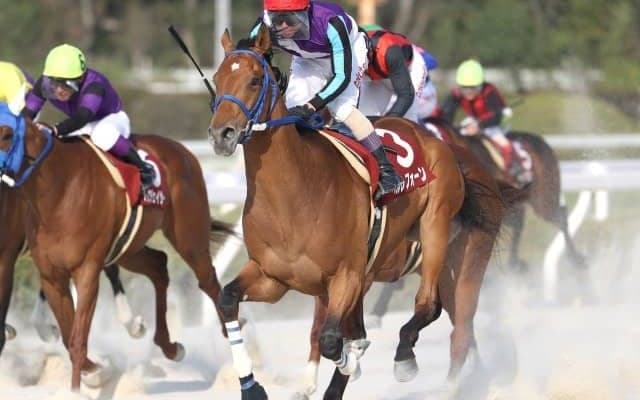 【園田・菊水賞結果】ベルレフォーンが差し切って一冠目を制す