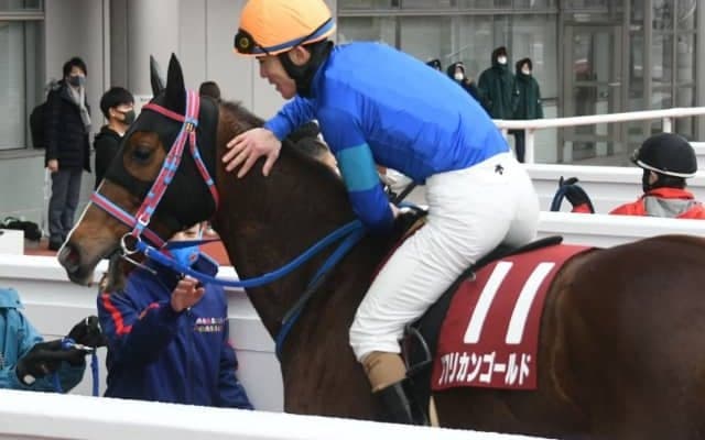 【次走】京都記念覇者アフリカンゴールドは放牧を挟み宝塚記念への参戦を視野に