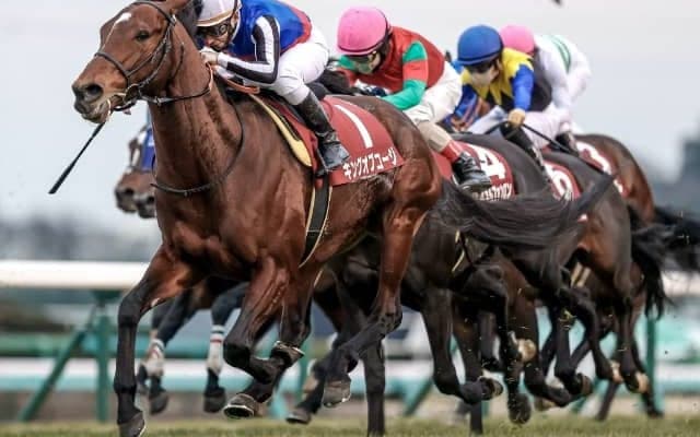 【次走】重賞2勝馬キングオブコージは放牧を挟んで宝塚記念を視野に
