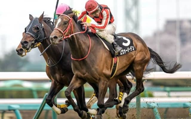 【次走】前走でOP入りのエヴァーガーデンは福島牝馬Sへの参戦を視野