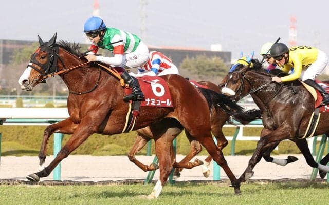 【桜花賞】出走馬の調教後の馬体重