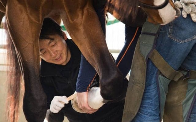 西内荘/装蹄の感触が良かった馬【4/9土曜版】