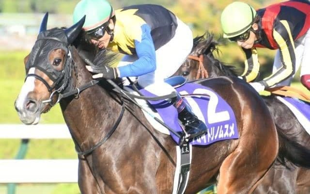 【阪神牝馬S枠順確定】アカイトリノムスメは5枠5番、アンドヴァラナウトは2枠2番