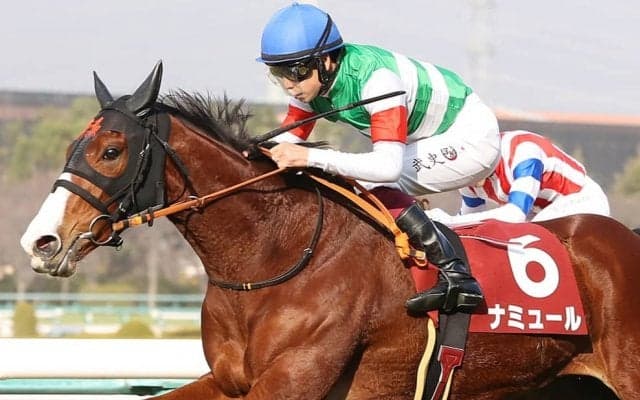 【桜花賞】ナミュールは大外8枠18番へ