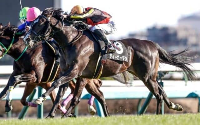 【ニュージーランドT予想】毎年波乱必至の3歳マイル重賞