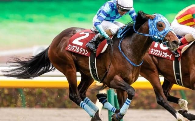 ワンダフルタウンが新潟大賞典の出走を断念　復帰は夏以降に