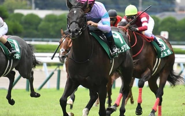 【AI予想・桜花賞】人気の盲点を突く◎!? 乾坤一擲の騎乗で「今度こそ」勝利を！