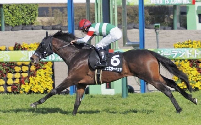 【船橋S】ジュビリーヘッドがオープン入り