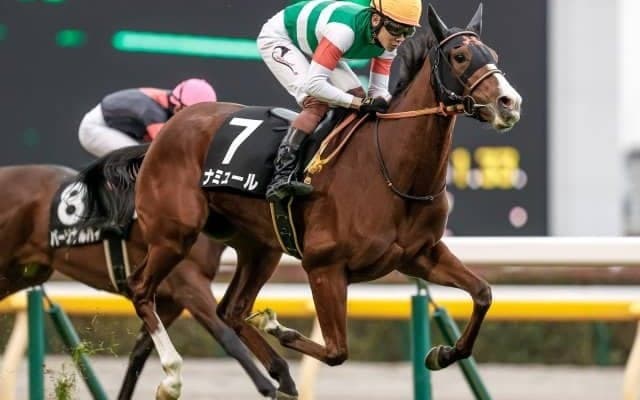 【桜花賞予想】圧倒的に強いのは2番人気馬？上位3頭馬番には謎のリズムが発生中？