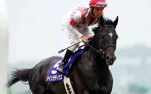 【海外競馬】D.オリヴァー騎手がG1通算127勝、豪州騎手のG1最多勝記録更新/クイーンオブザターフS結果