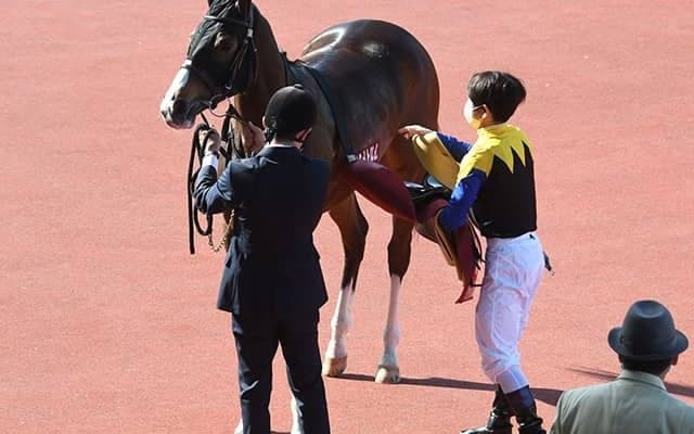 【阪神牝馬S】競走除外のアカイトリノムスメは右後肢跛行