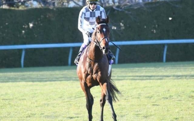 クラシック三冠の一戦目・皐月賞、オジュウ出走の中山グランドJなど/今週の競馬界の見どころ