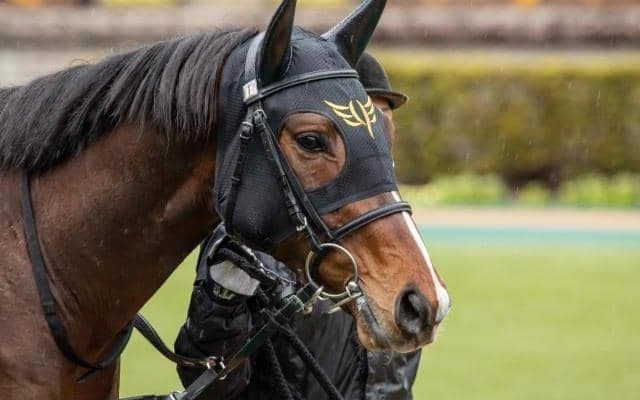 【アーリントンC見どころ】ダノンスコーピオンの巻き返しなるか