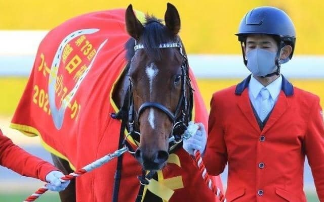 【皐月賞見どころ】朝日杯覇者ドウデュースのGI・2勝目なるか