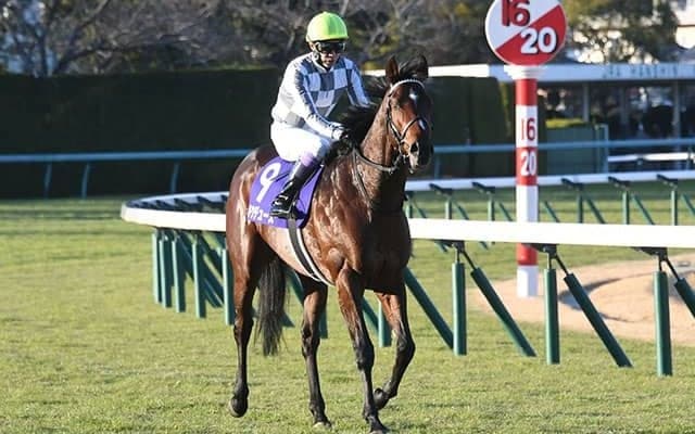 【皐月賞想定騎手】ドウデュースは武豊騎手、キラーアビリティは横山武史騎手