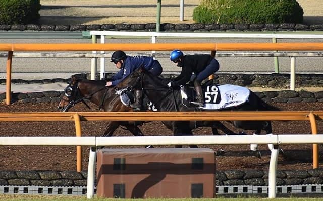 【アーリントンC想定騎手】ダノンスコーピオンは川田将雅騎手、キングエルメスは坂井瑠星騎手