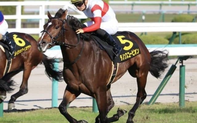 【アーリントンC展望】活躍馬続出のマイル重賞、前走重賞組が中心